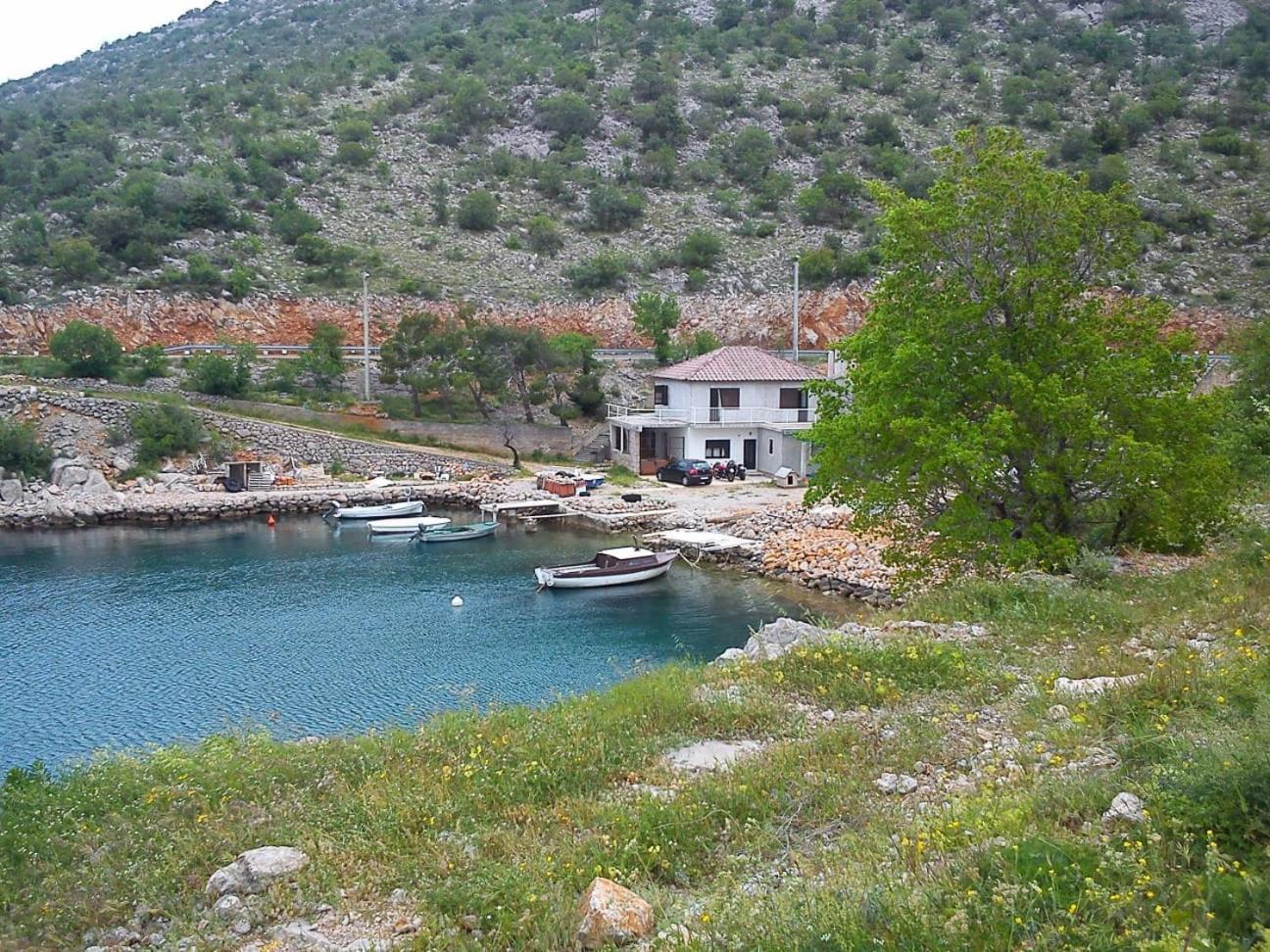Apartment Galeb Lukovo Šugarje Eksteriør bilde